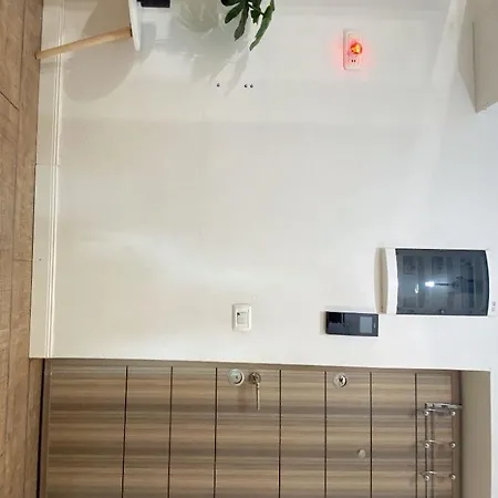 Your 布加勒斯特